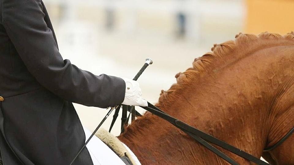 CDI Keysoe s Kateřinou Cox v Grand Prix kür