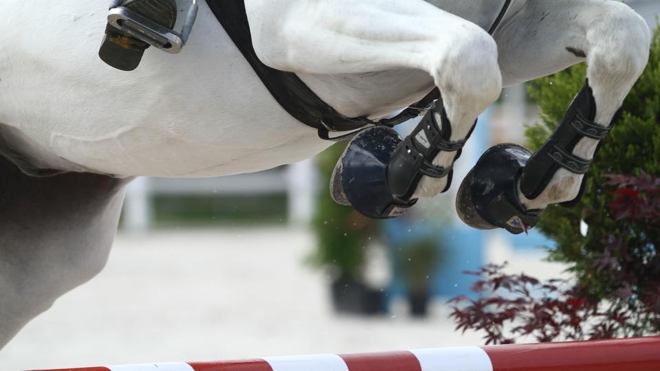 Závěr CSI Opglabbeek s českými úspěchy