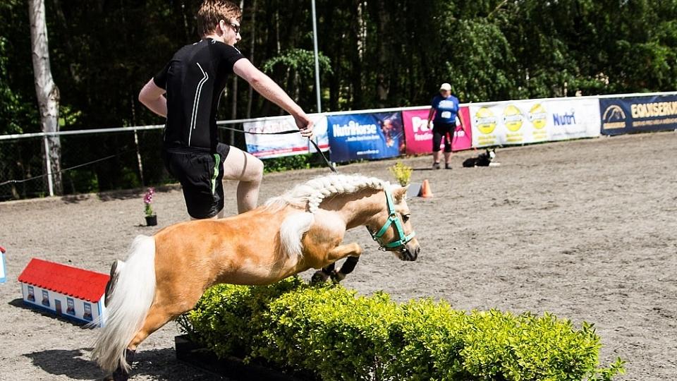 Závod minikoní Velká cena Przechwozd i v roce 2018
