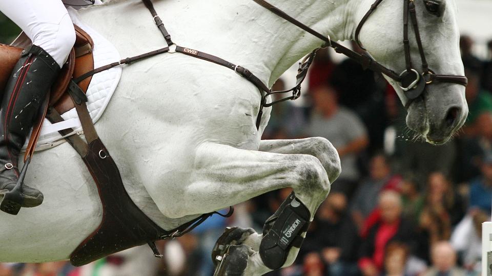Úspěšný pátek Šobichové při CSI Bonheiden