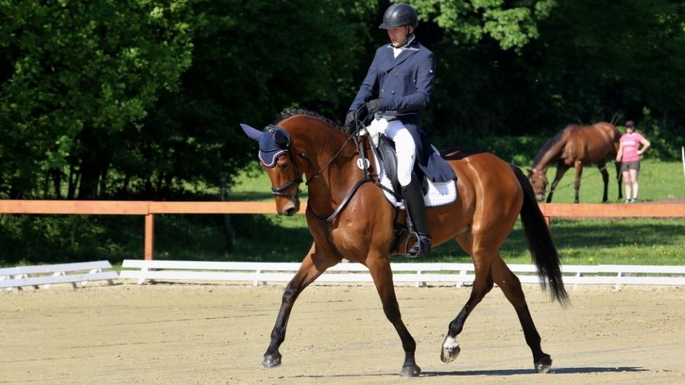 Příhoda průběžně čtvrtý při Strzegom Horse Trials