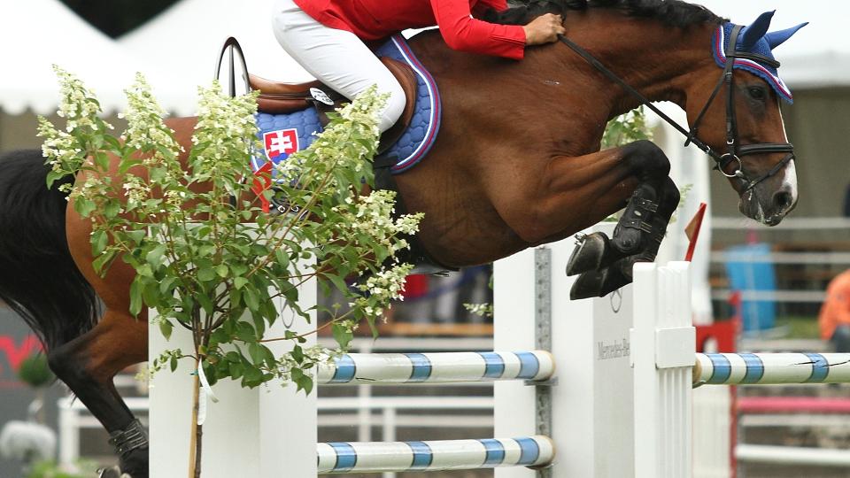 Jezdecké dění na Slovensku v 27. a 28. týdnu 2018