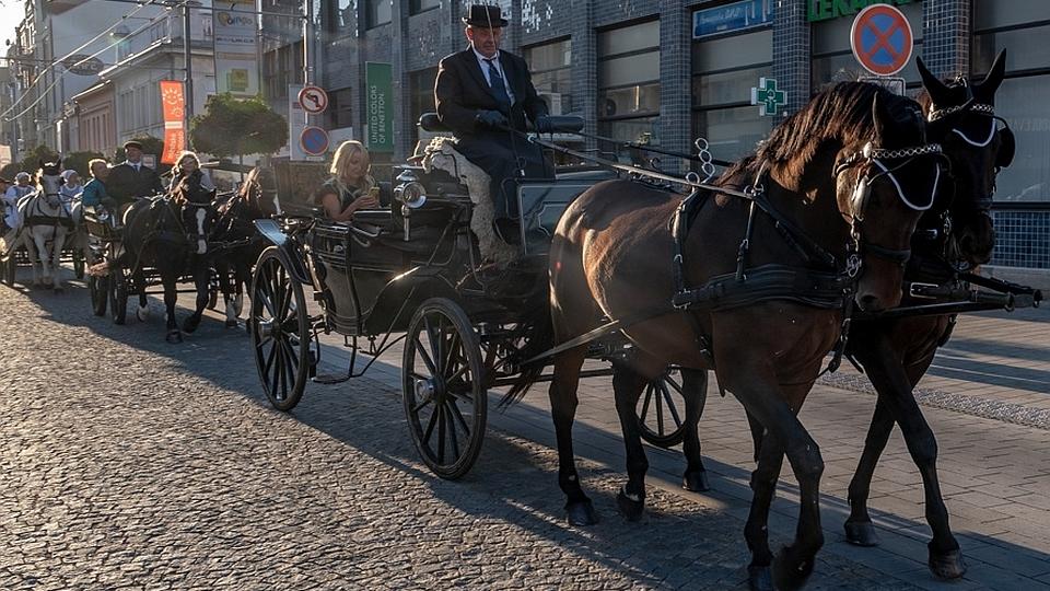 Průvod koní a kočárů lákal na Velkou pardubickou