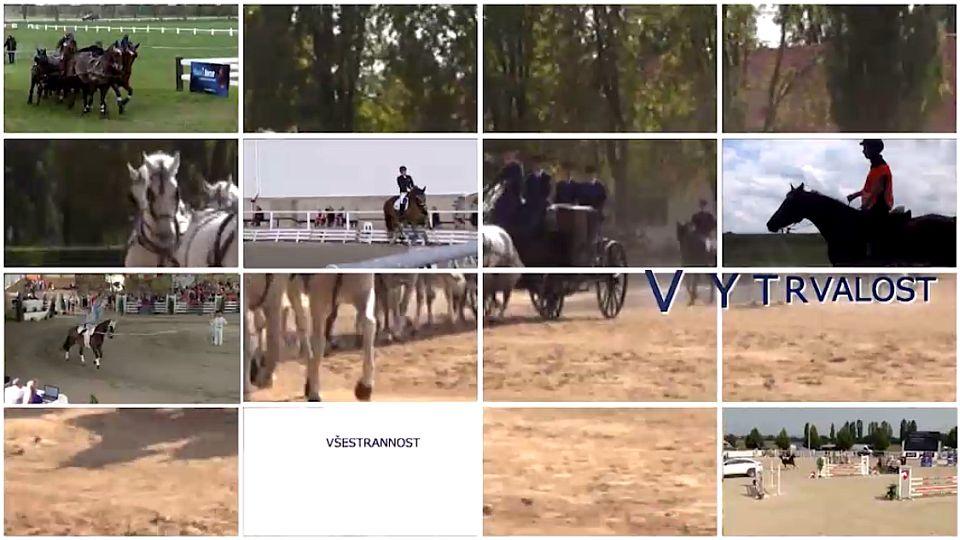 Jezdecký sport 2018 - terénní disciplíny