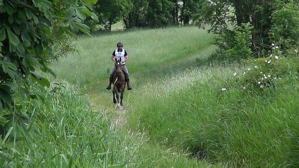 Závěr CEI a MČR 2019 ve vytrvalosti v Budislavicích ŽIVĚ na EquiTV.cz