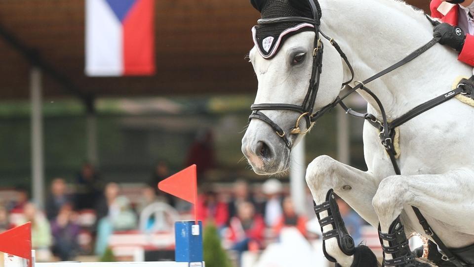 CSI Kronenberg: Řezníček úspěšný v CSIYH, Moussac ve stočtyřicítce