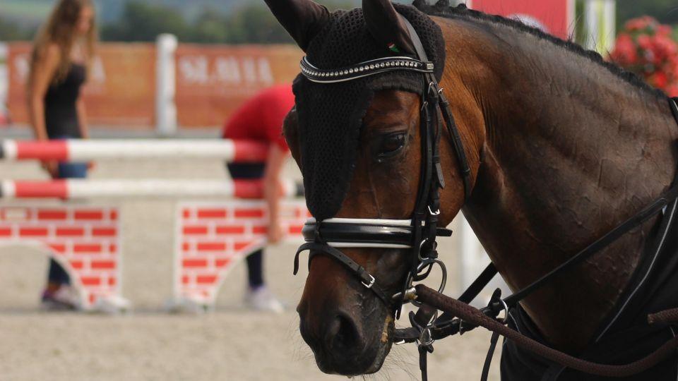 Nová pravidla pro měření pony. Změna se týká i národních závodů ČJF