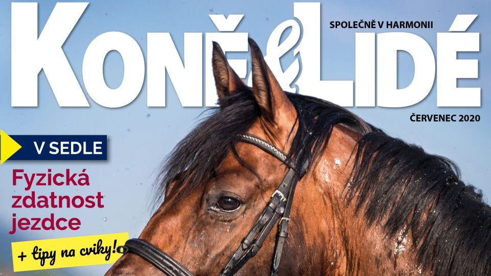 Koně a lidé představí hříběcí dvojčátka i mapu pro cestování s koňmi