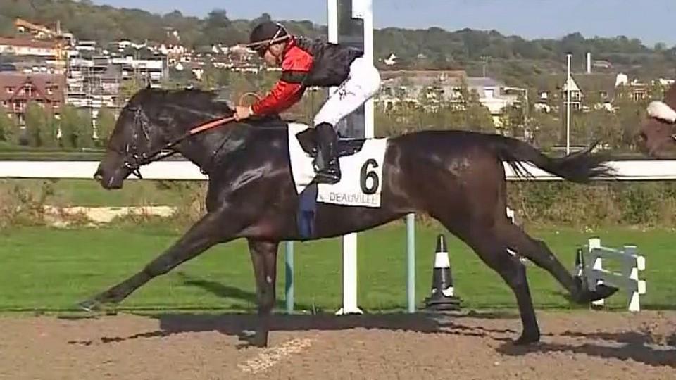 Ideal King má francouzský hattrick. V Deauville opět ukázal svůj speed