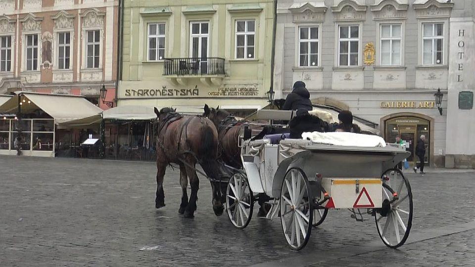 Případ fiakristů může mít dopad na další odvětví, zní z ASCHK ČR