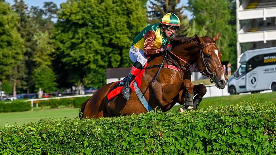 Talent opět na vítězné vlně, české stáje bodovaly ve třech zemích