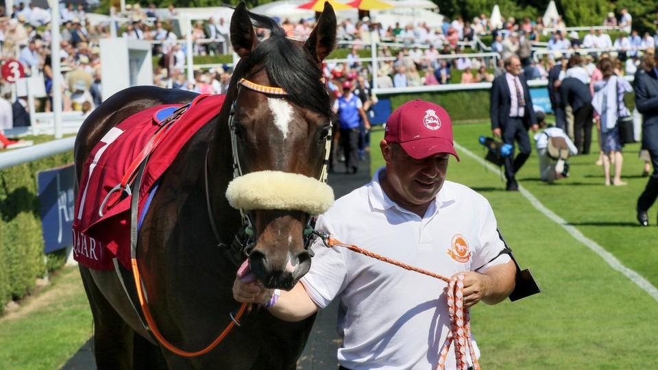 Borec, řekl Dettori o Ponntosovi. Český šampion se teď vrátí do Paříže