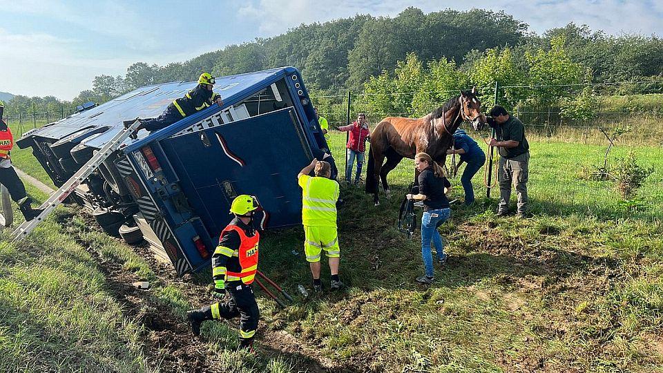 Na D8 se převrátil kamion s koňmi. Jeho řidič nadýchal 1,62 promile