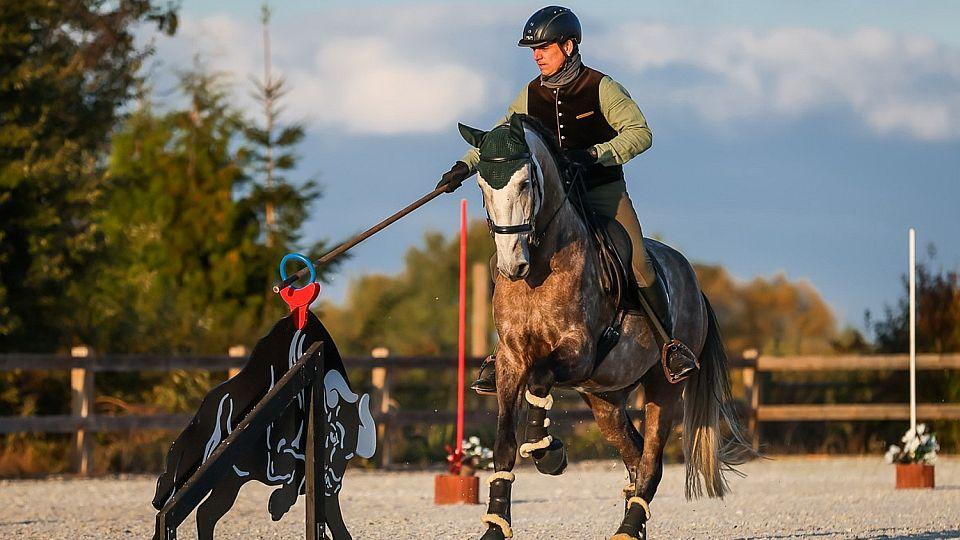 Pedro Torres Academy Cup 2022. To nejlepší z Working Equitation v ČR