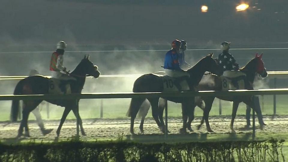Ideal King prolomil smůlu v Deauville. Ukázal, že umí, radoval se Luka