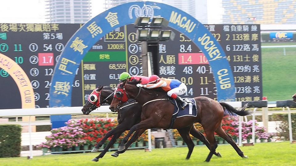 Dostihy v Macau prohrály souboj s kasiny. Zbylé koně převezou do Číny