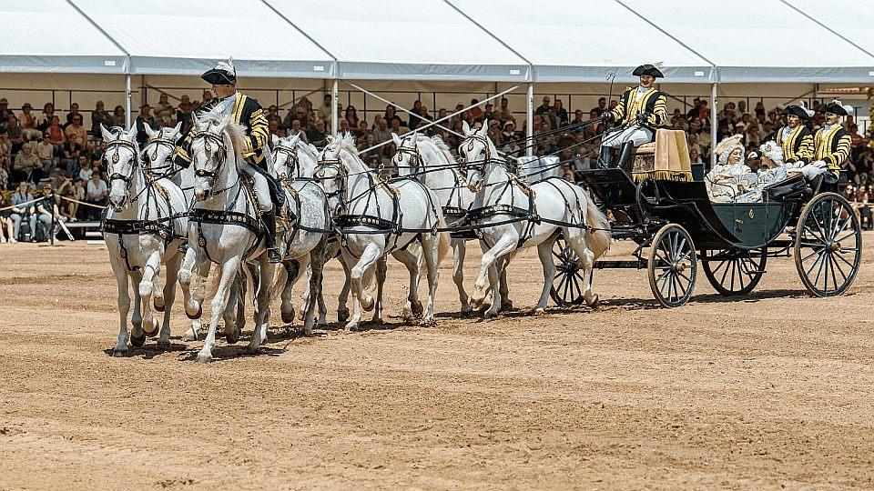 Národní hřebčín si připomene 150 let od návštěvy císaře Františka Josefa I.