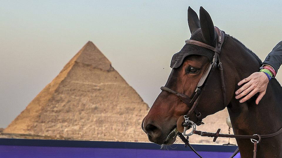 Série LGCT u pyramid přinesla naději na lepší život pracovních koní v Gíze