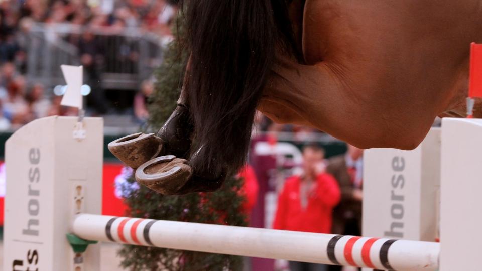 CSI5* Oslo: Klisna narozená v Česku byla třetí v páteční stopadesátce