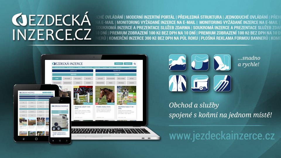 Jezdecká inzerce top10: To byly inzertní hity 20. týdne 2022