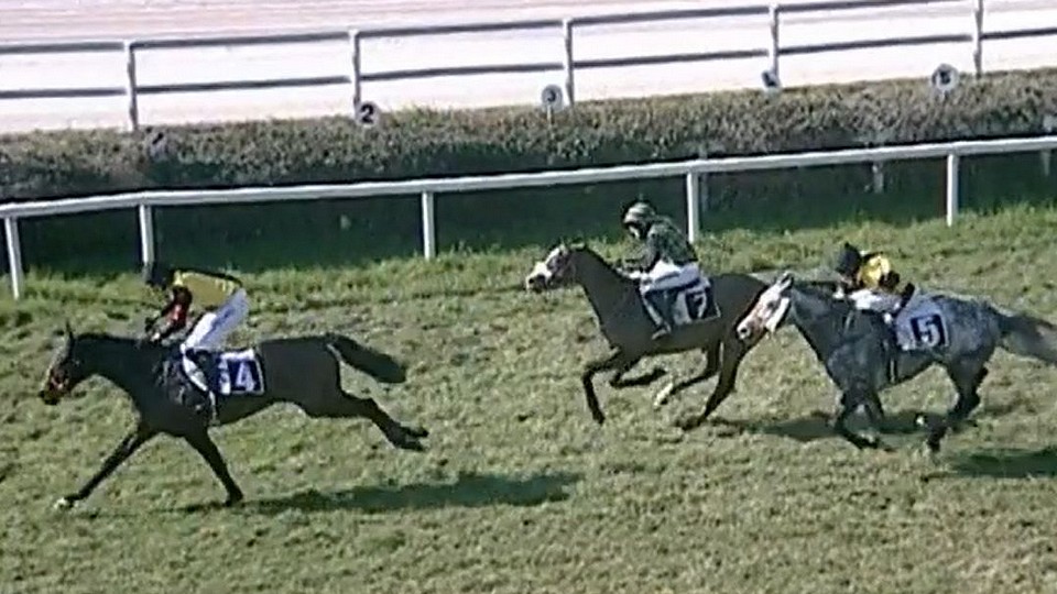 Double pro Scuderii Aichner v Trevisu, Krokodile Dundee ovládl listed